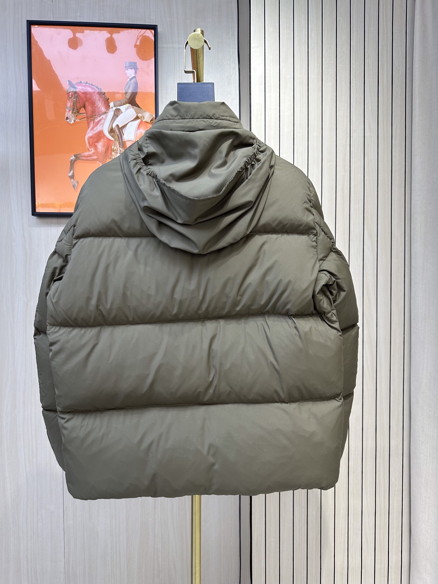 Moncler Down Jackets